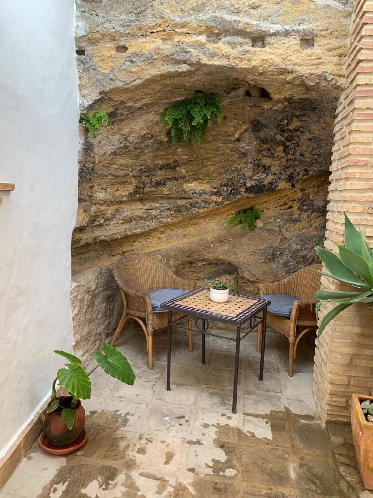 Rosa Vejer de la Frontera
